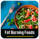 Fat Burning Foods APK