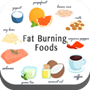 APK Fat Burning Foods: losing fats