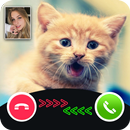 cat call you - fake video call APK