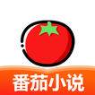 番茄小说大全 电视剧原著电子书阅读器 图标 番茄小说大全 电视剧原著电子书阅读器 图标