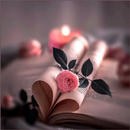 Acrósticos de Amor APK