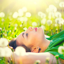 Frases de Paz y Armonía espiritual APK