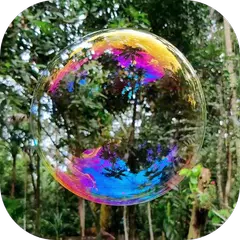 Fantasy Forest Video Wallpaper APK download