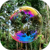 Fantasy Forest Video Wallpaper APK