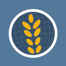 Graindex APK