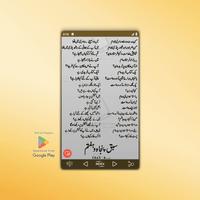 Learn Farsi (Persian) captura de pantalla 3