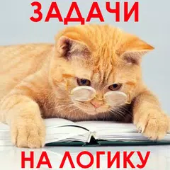 Descargar XAPK de 1000 и одна задача на логику.