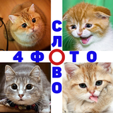4 Фото 1 Слово. Где логика? icône