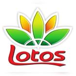 Lotos