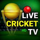 Live Football TV HD APK