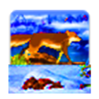 Running Fox Game icône