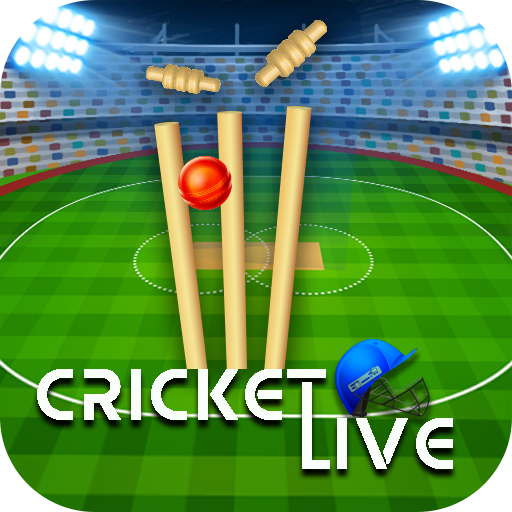 Live Cricket Score, T20 2024