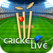 Live Cricket Score, T20 2024