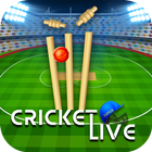Live Cricket Score, T20 2024-icoon
