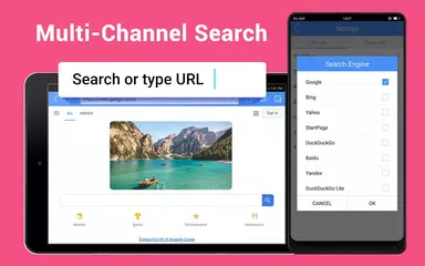網絡瀏覽器 - 快速，私密&新聞 XAPK 下載