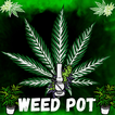Weed Farm: Cannabis Farm Doc
