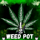 Weed Farm: Cannabis Farm Doc icône