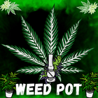 Weed Farm: Cannabis Farm Doc icon