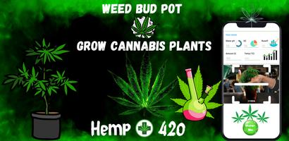 Weed Farm: Cannabis Farm Doc Affiche
