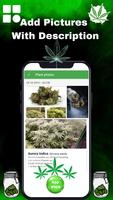 2 Schermata Weed Farm: Cannabis Farm Doc