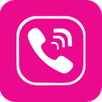 FastVoice APK