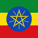 Amharic-English Dictionary APK