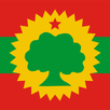 Oromo-English Dictionary APK