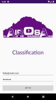 Cursa de l'Airosa-poster