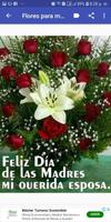 Feliz día mamá 截图 3