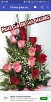 Feliz día mamá 截图 1