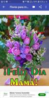 Feliz día mamá 截图 2