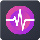 Amplificateur de haut-parleur APK