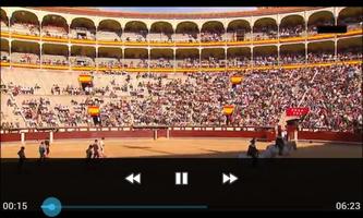 Feria de San Isidro captura de pantalla 2