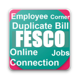 FESCO Reports Online Bill , New Connections Meters