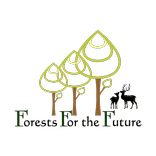 Forest for the Future