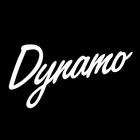 Dynamo 图标