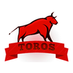 Toros Ravintola