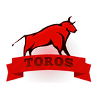 Toros Ravintola icône