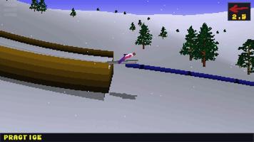 Deluxe Ski Jump 2 скриншот 2