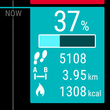 polar flow 2