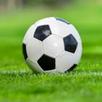 DREAM FIXED BETS APK