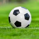 DREAM FIXED BETS APK