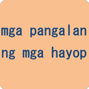 Animal names in Filipino APK