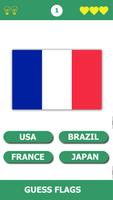 Flag Quiz Gallery imagem de tela 3