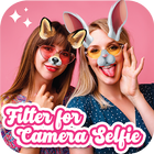 Filters for Selfies icône