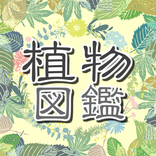 植物 写真 名前 調べる〜花の名前 写真 調べる無料×観葉植物×育成×育てる×さぼてん〜