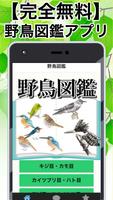 野鳥図鑑 無料〜バードウォッチング×図鑑アプリ 無料×フクロウ×はやぶさ×鳥獣×バードライフ〜 poster