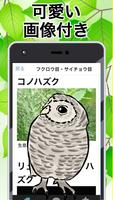 野鳥図鑑 無料〜バードウォッチング×図鑑アプリ 無料×フクロウ×はやぶさ×鳥獣×バードライフ〜 screenshot 2