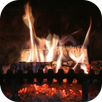 Fireplace Video Live Wallpaper APK