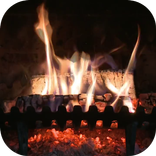 Fireplace Video Live Wallpaper